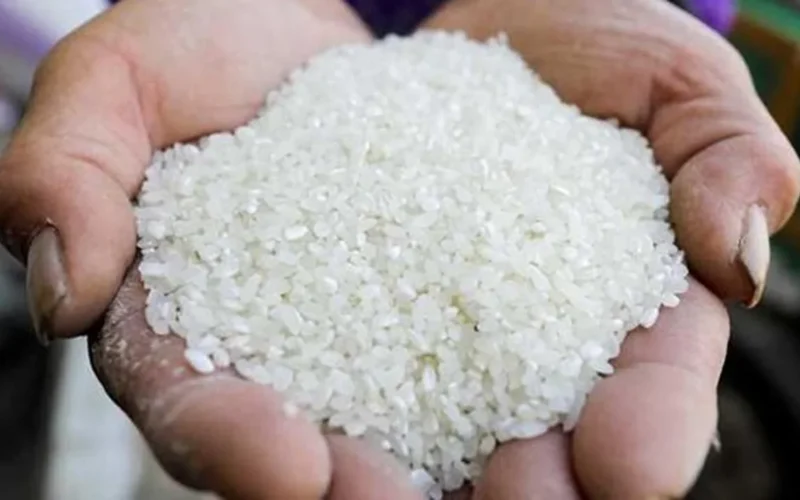 750 ألف طن فائض أرز أبيض يضغط على أسعار السوق في مصر